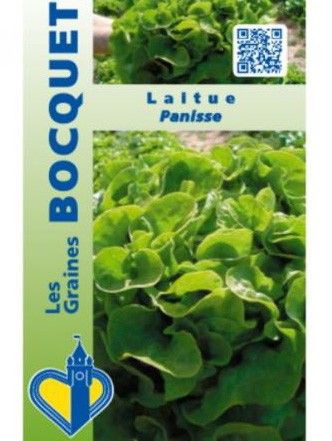 Laitue feuille de chêne pommée 'Panisse'