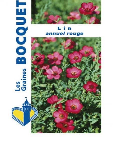 Lin à grandes fleurs rouges, lin annuel