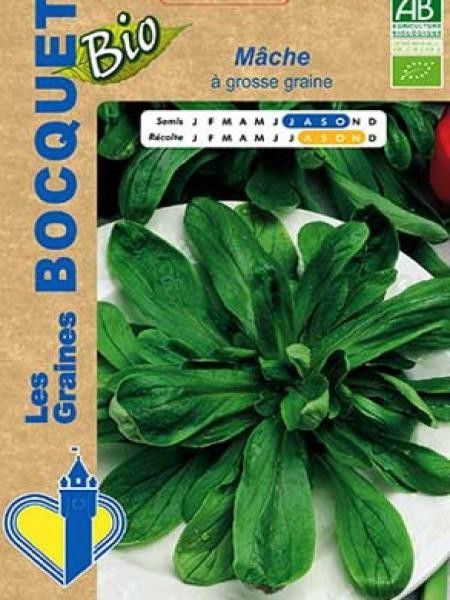 Mâche 'A grosse Graine' BIO
