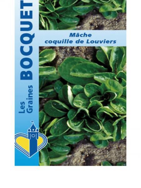 Mâche 'Coquille de Louviers'