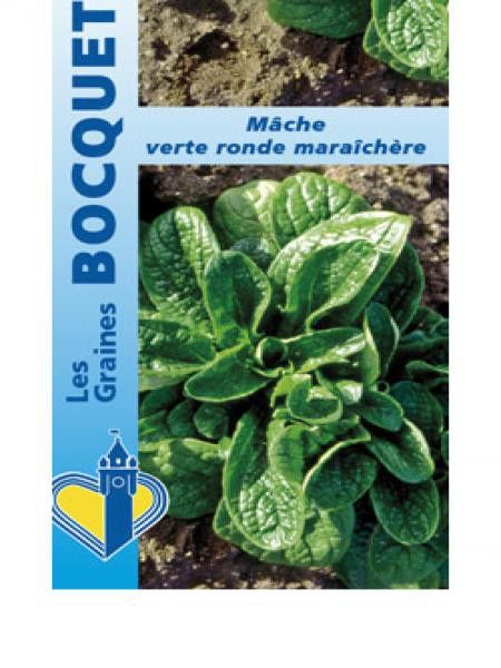 Mâche 'Ronde Maraîchère'