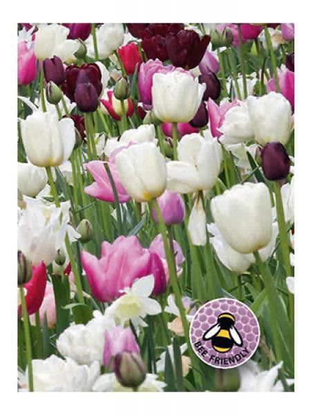 Mélange Abeilles et papillons - Blanc, rose et pourpre