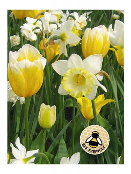 Mélange Abeilles et papillons - Jaune clair