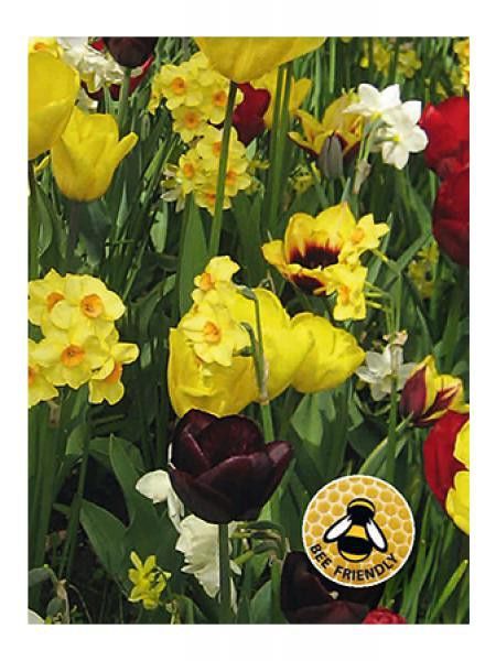 copy of Mélange Abeilles et papillons - Jaune