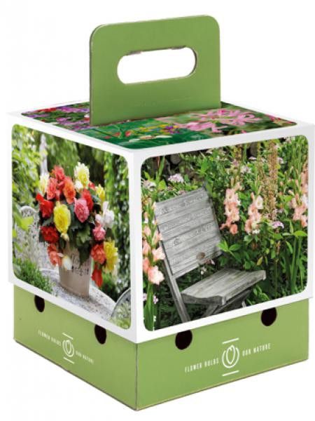 Mélange de bulbes 'Bienvenue l'été'