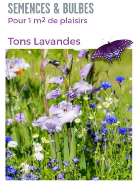 Mélange de bulbes 'Nuances de violet'