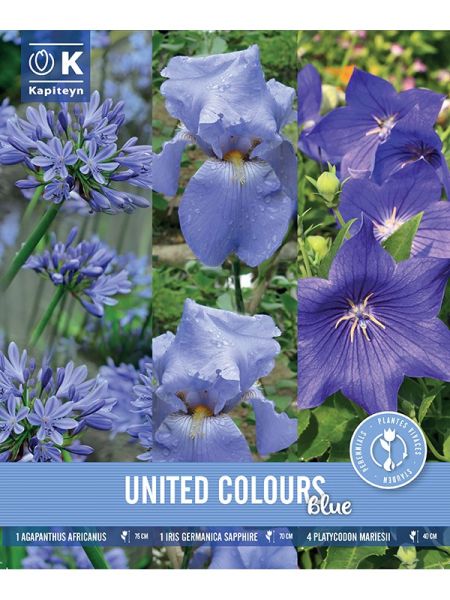 Mélange de vivaces Trio Pack - Bleu