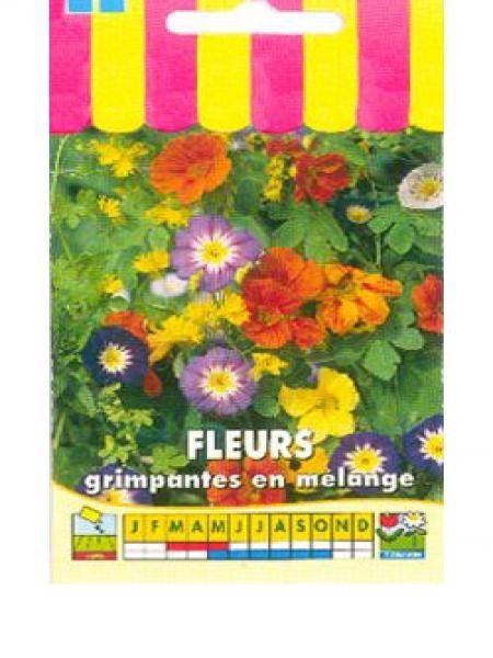 Mélange mellifère 'Fleurs grimpantes'