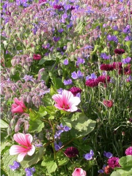 Mélange 'Tapis médiéval'