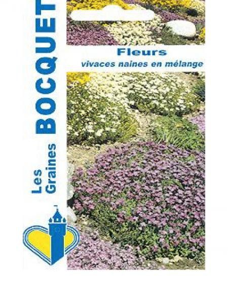 Mélange  vivaces 'Naines'