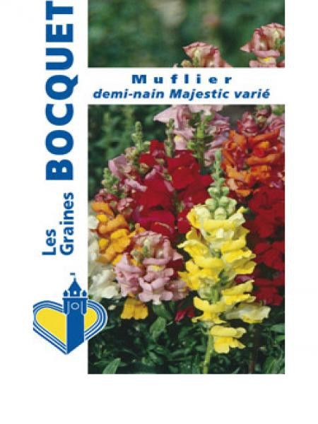 Muflier demi-nain varié 'Majestic'