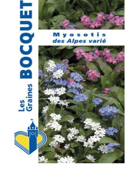 Myosotis des Alpes en mélange