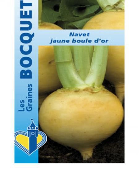 Navet 'Jaune Boule d'Or'