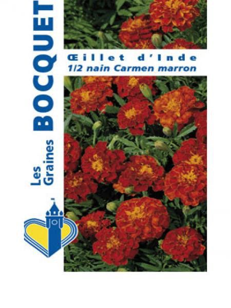 Oeillet d'Inde 'Carmen'