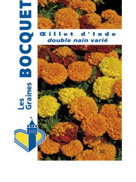 Oeillet d'Inde double nain en mélange
