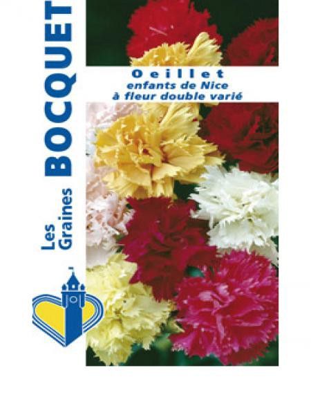 Oeillet 'Enfants de Nice en mélange