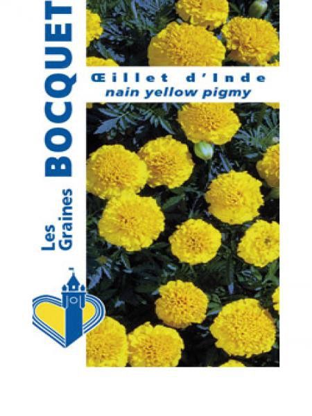 Oeillet d'Inde 'Yellow Pigmy'