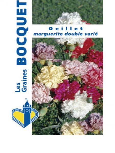 Œillet des fleuristes en mélange