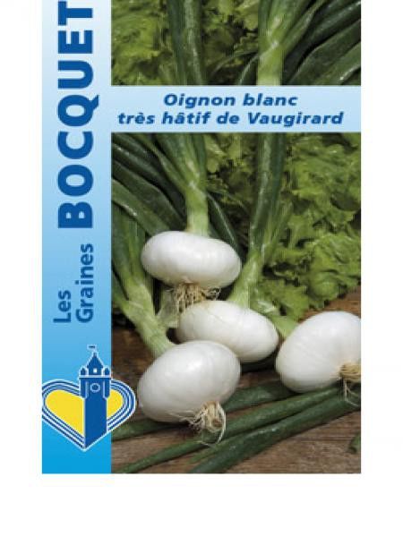 Oignon blanc'Très hâtif de Vaugirard'