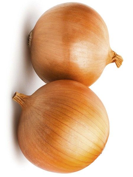 Oignon jaune 'Espagnol'