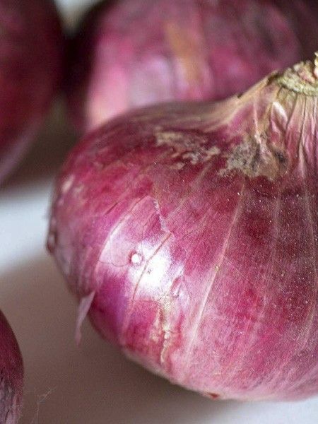 Oignon rouge 'd'Abbeville'