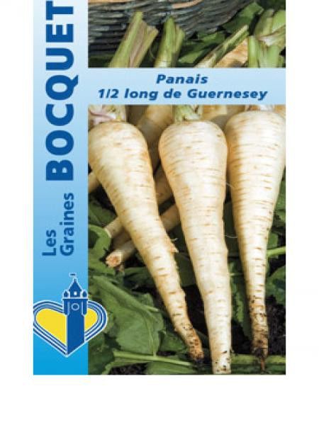 Panais 'Demi-long de Guernesey'