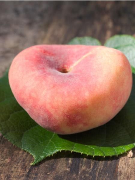 Pêcher 'Plate -Jaune-'