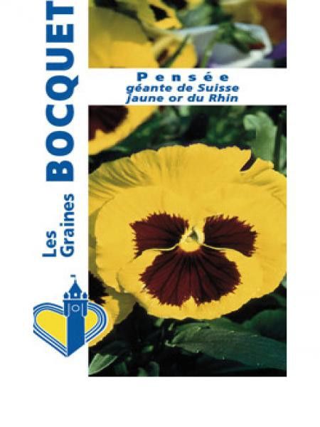 Pensée géante de Suisse 'Jaune Or du Rhin'
