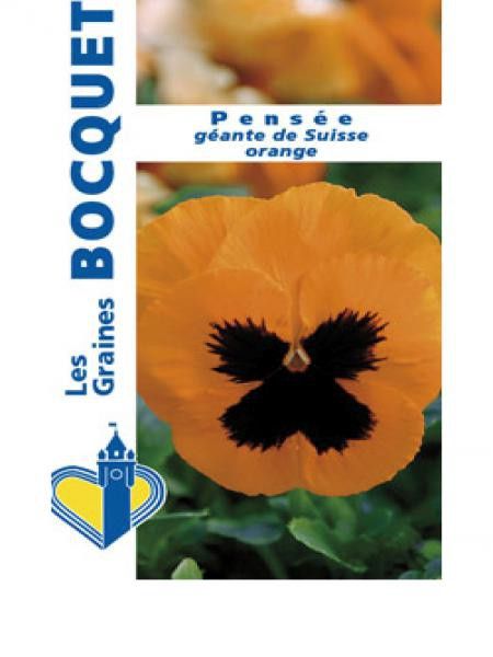Pensée géante de Suisse 'Orange Flame'