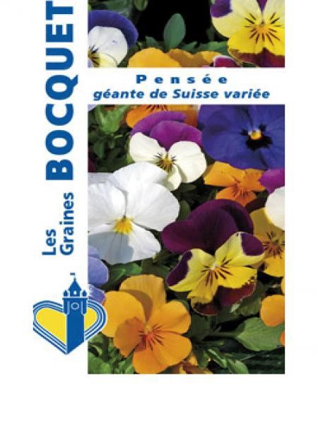 Pensée 'Géante de Suisse variée'