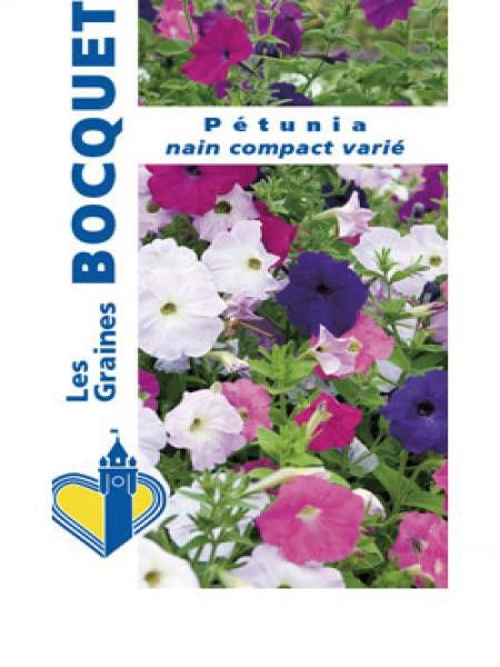 Pétunia nain compact varié