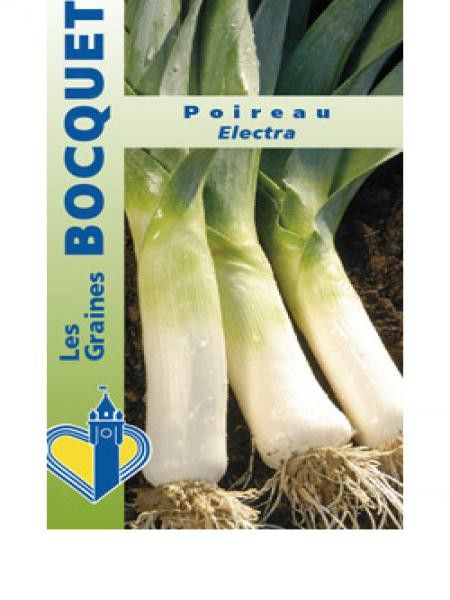 Poireau 'Electra'