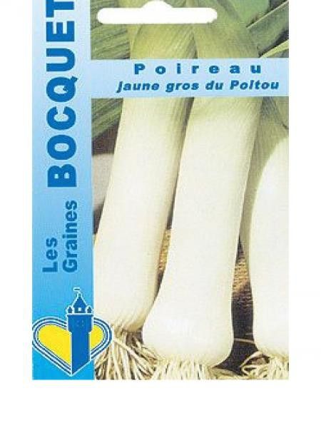 Poireau 'Jaune gros du Poitou'