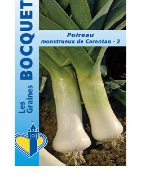 Poireau 'Monstrueux de Carentan'