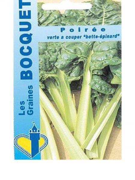 Poirée 'Verte à couper'