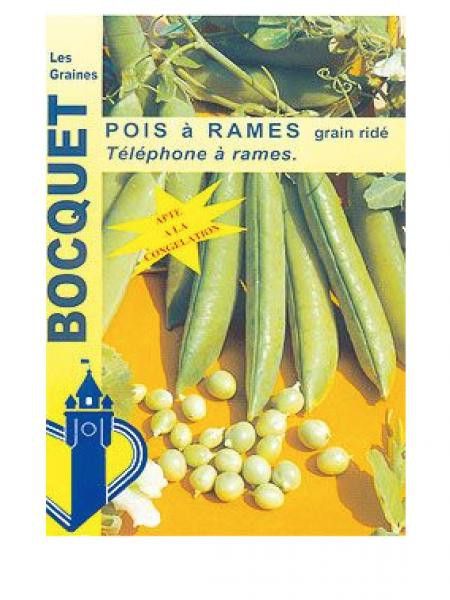 Pois à rames 'Téléphone'