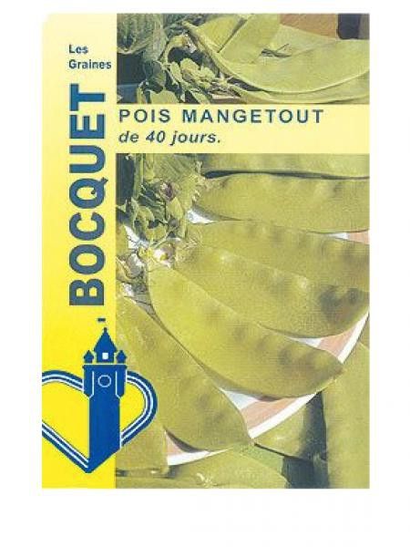 Pois 'Mangetout de 40 jours'