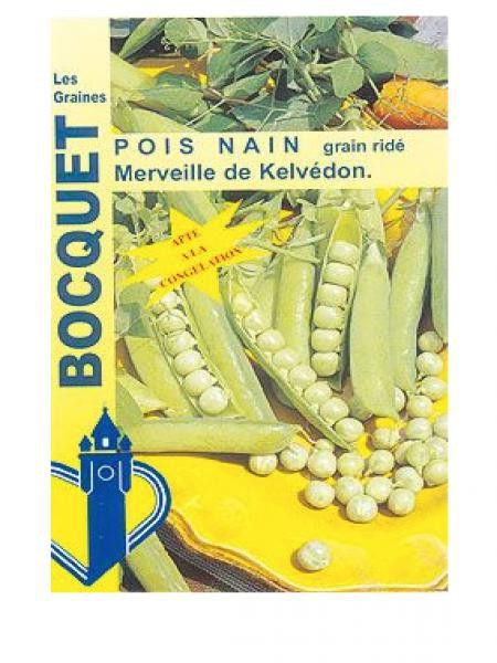 Pois nain 'Merveille de Kélvedon