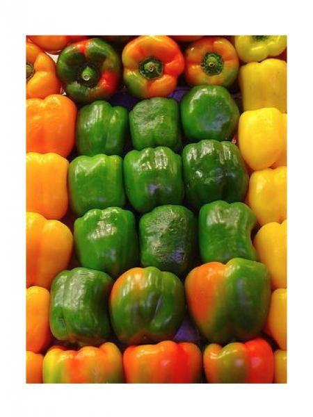 Poivron 'Quadrato d'Asti Giallo'