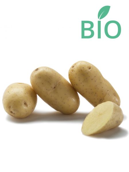 Pomme de terre Bio 'Laurette'