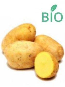 Pomme de terre 'Mona Lisa'