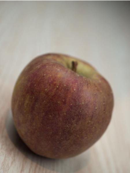 Pommier 'Boskoop Rouge'