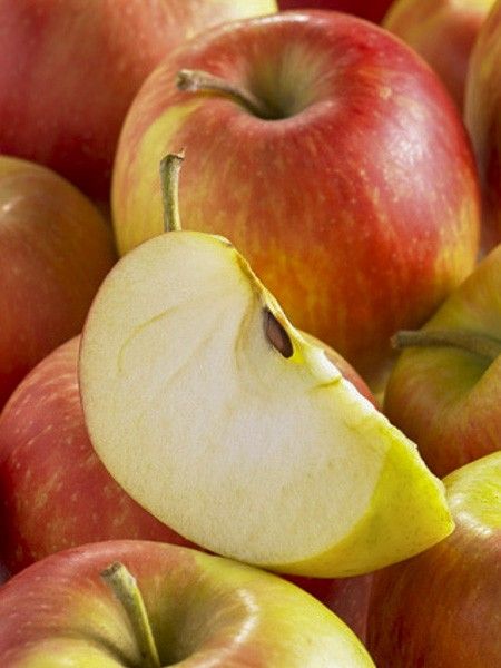 Pommier 'Delbarestivale 'Monidel''