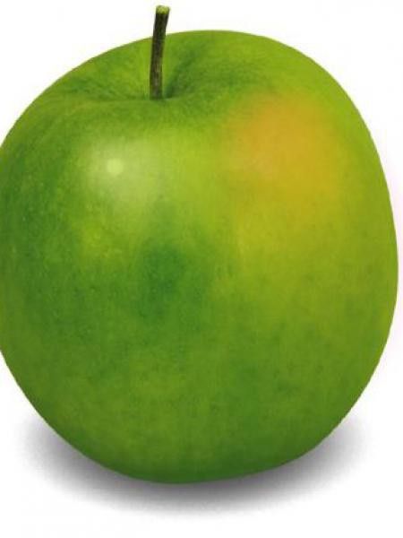 Pommier 'Granny Smith'