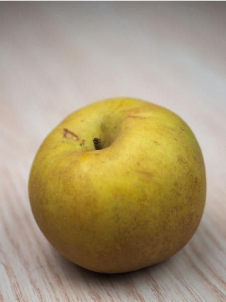 Pommier 'Reinette Grise du Canada'