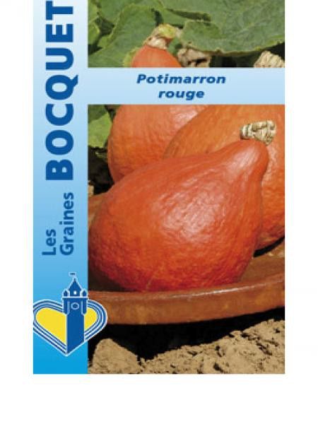 Potiron 'Potimarron'