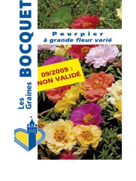 Pourpier à fleur simple en mélange