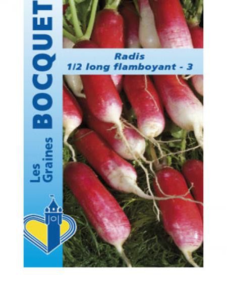 Radis  'Flamboyant'