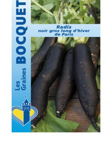 Radis noir 'Gros long d'hiver de Paris'