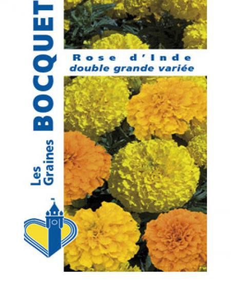 Rose d'Inde 'Double grande variée'